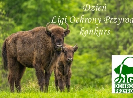 Powiększ obraz: Dzień Ligii Ochrony Przyrody – konkurs ekologiczno-plastyczny   „Zwierzęta chronione w Polsce”